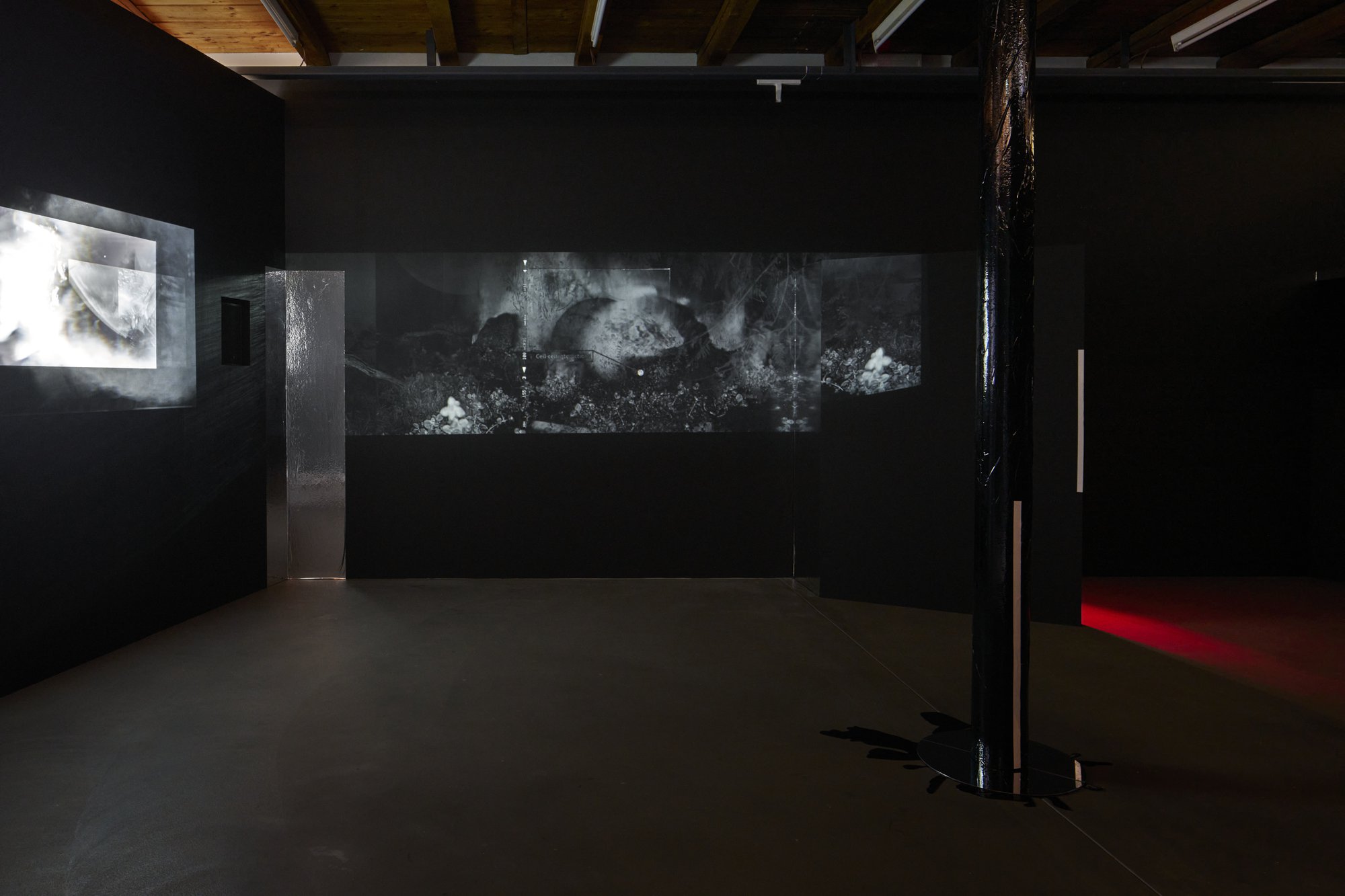 Leslie Thornton, Installation view, Once in a Hundred Years, Kunsthalle Friart Fribourg, Fribourg