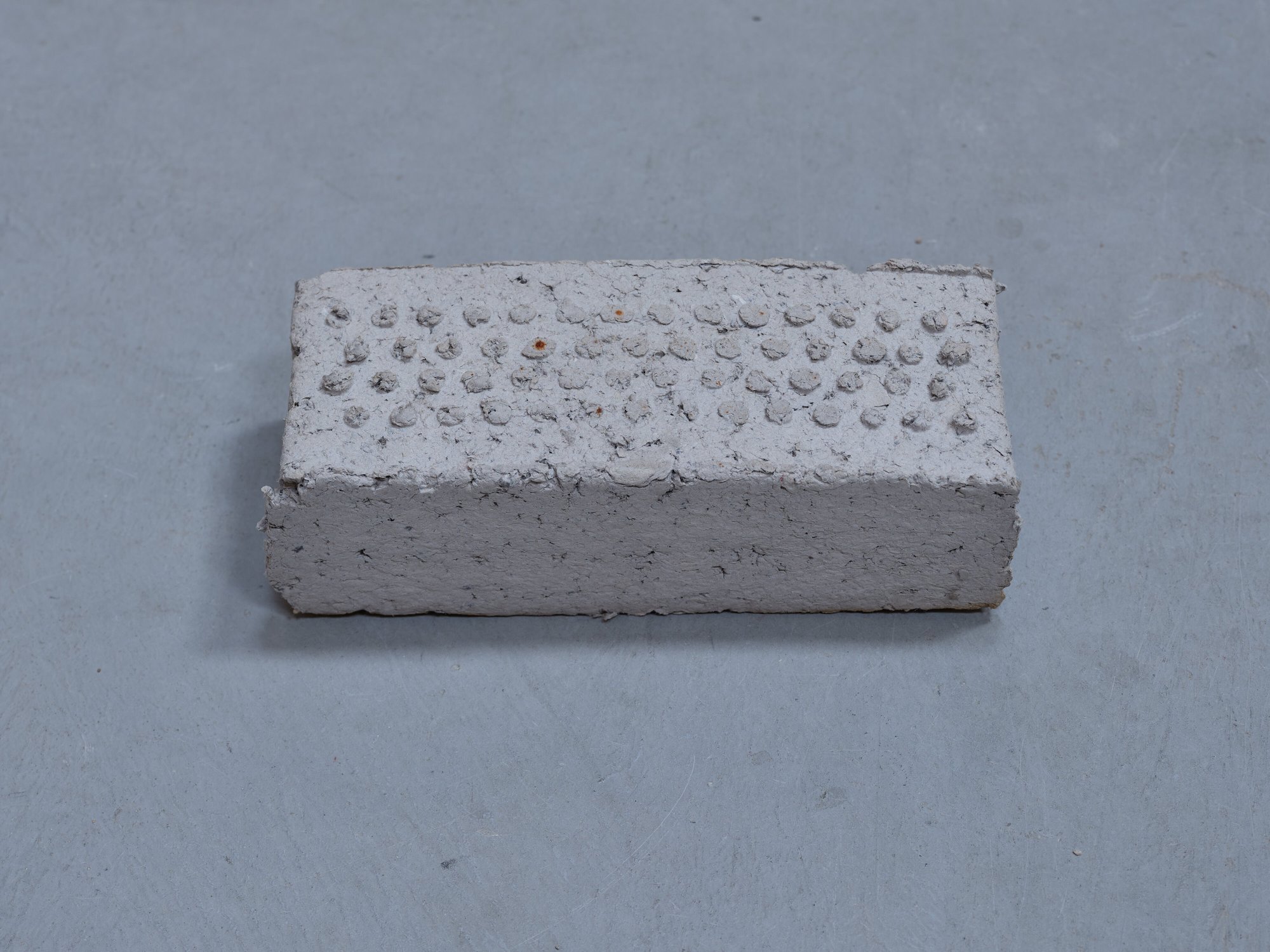 Banu Cennetoğlu, False Witness, paper, water, 20 x 8 x 6 cm, 2024.