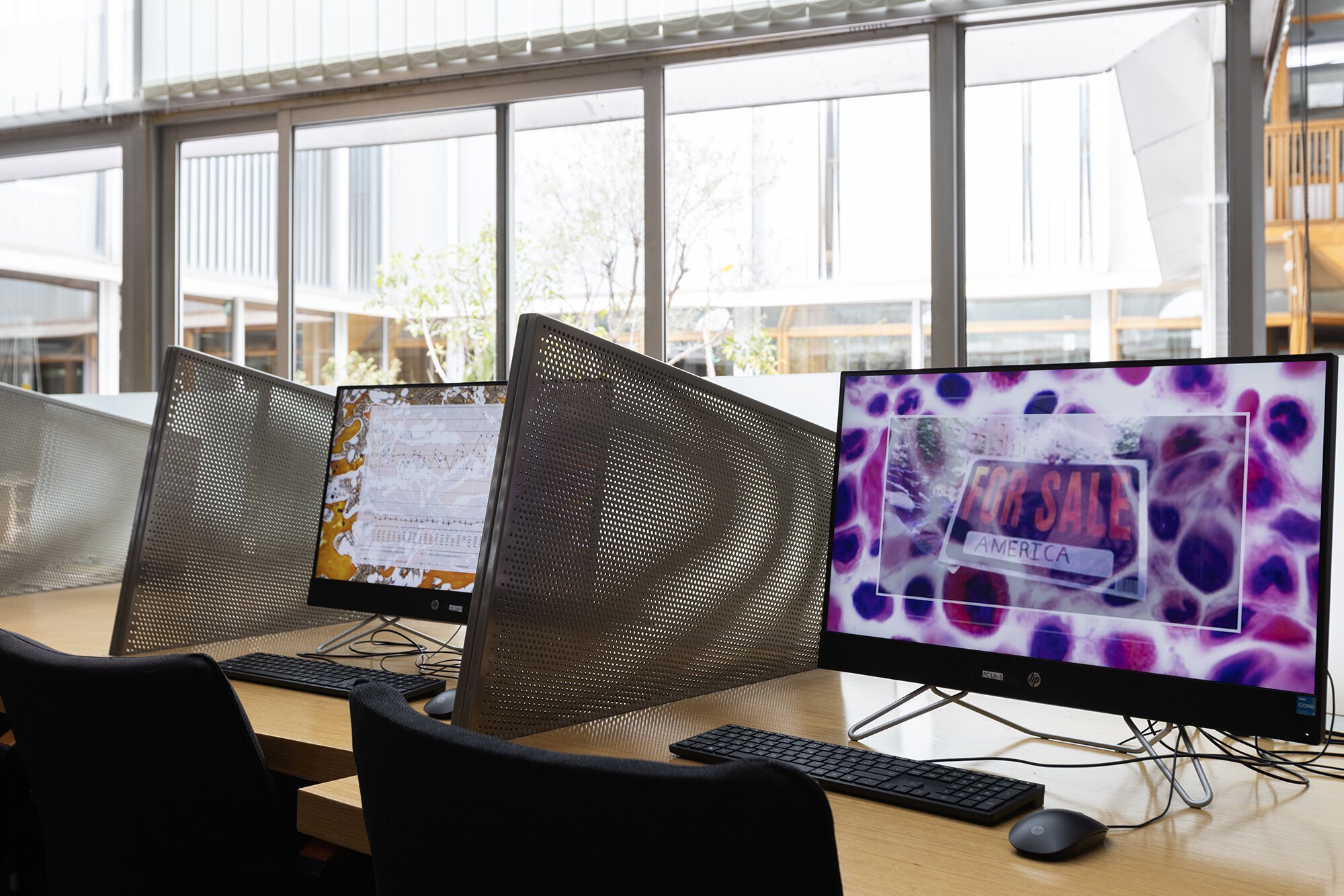 Installation view, Iris Touliatou, Before and After Science, National Hellenic Research Foundation, Athens, 2024.