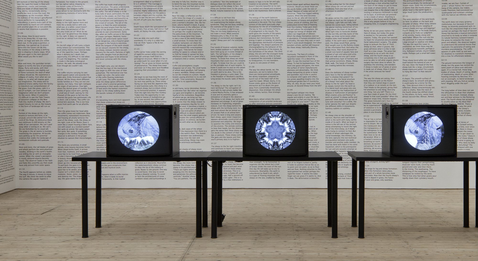 Leslie Thornton, Installation view, SPEED, Künstlerhaus Stuttgart, Stuttgart, 2018