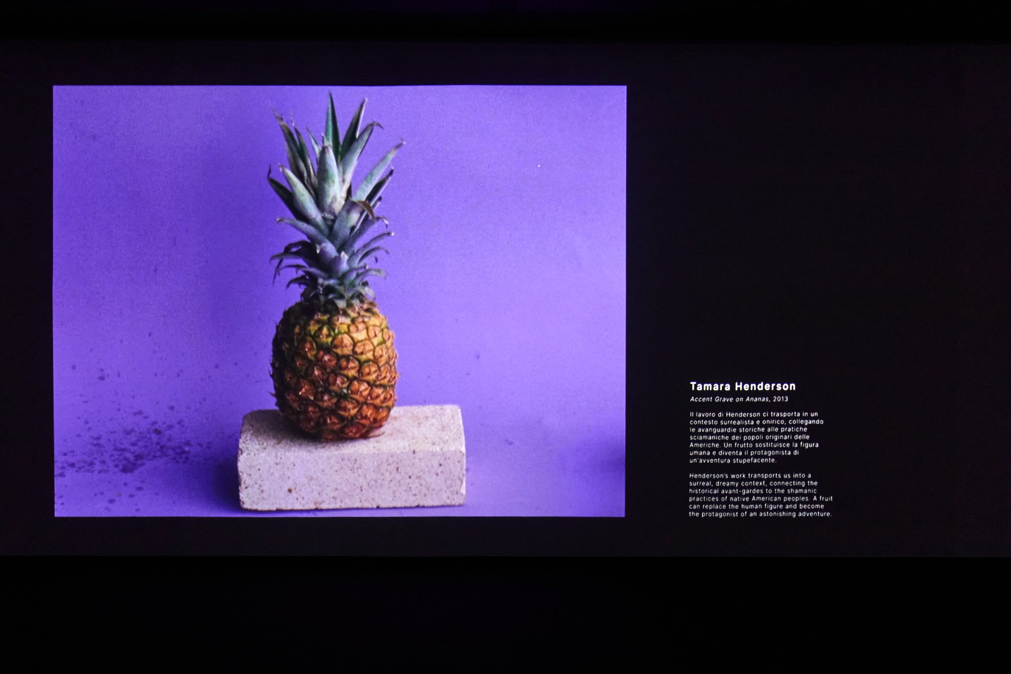 Installation view, Tamara Henderson, The human condition, Artissima, Gallerie d&#x27;Italis, Torino, 2023