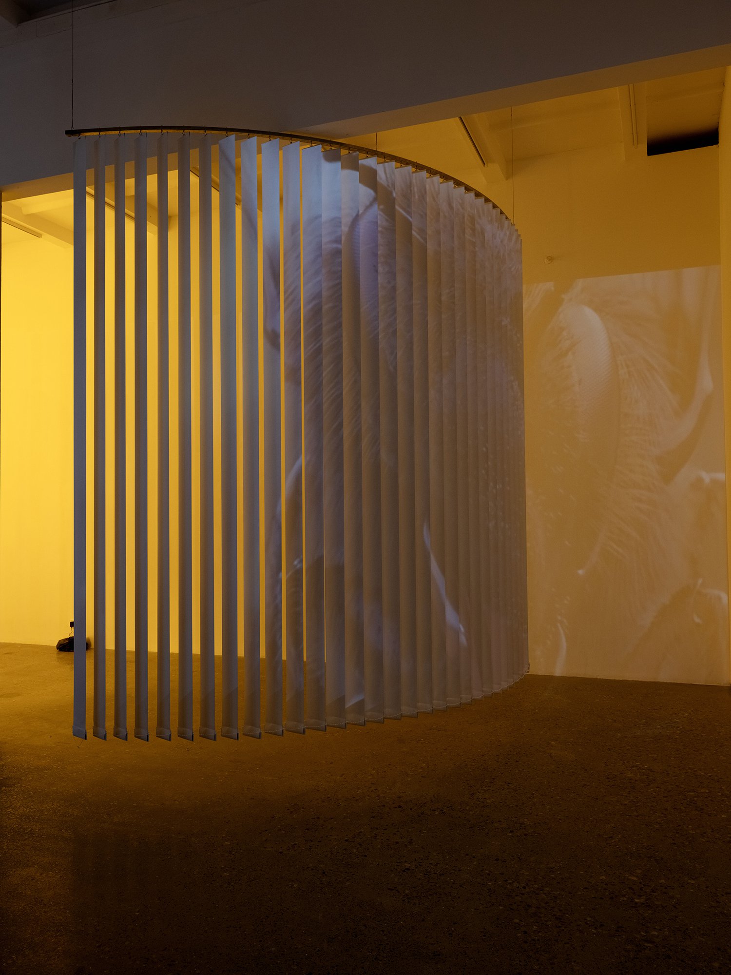 Installation view, David Douard, serious Slugs’ StrategY, Magician Space, Beijing, 2023