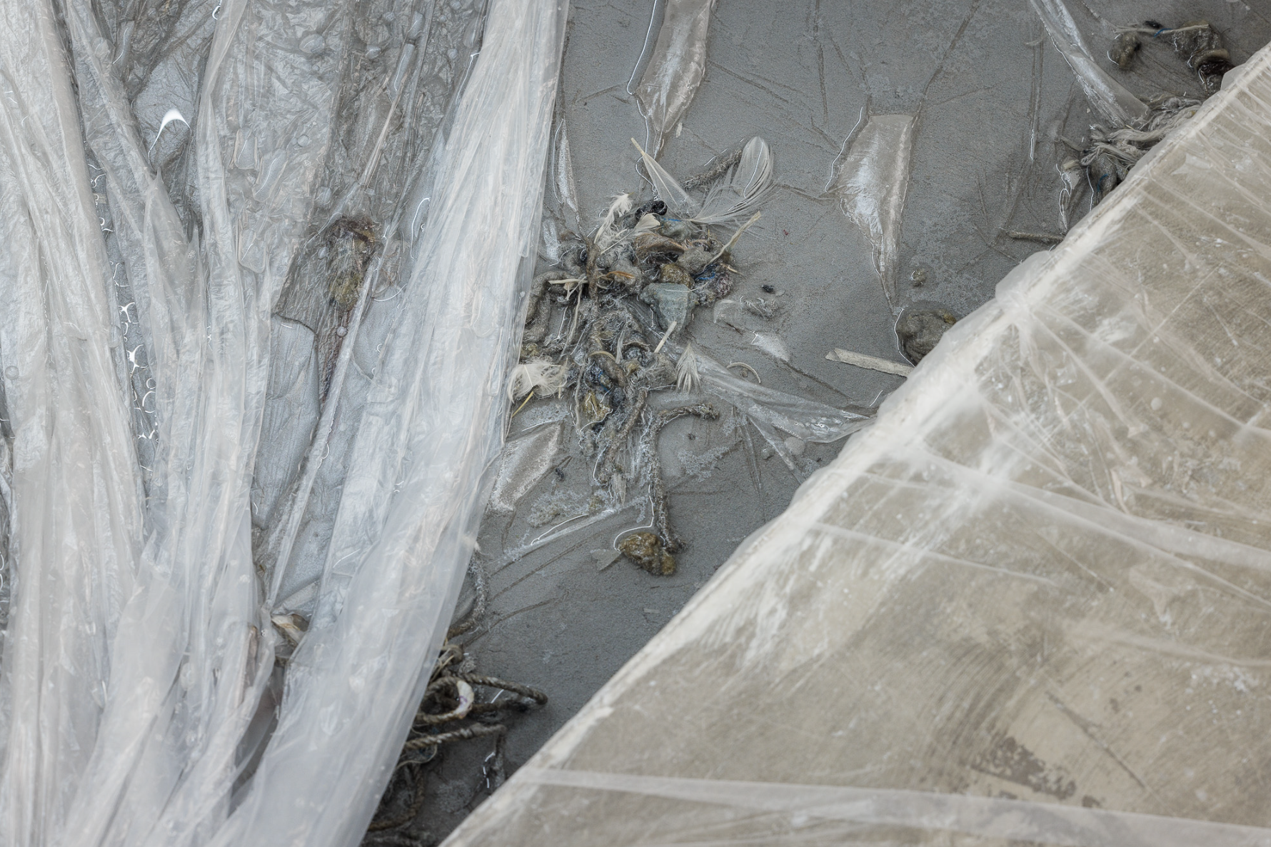 Jason Dodge, Installation View, Jason Dodge, Grazer Kunstverein, 2024